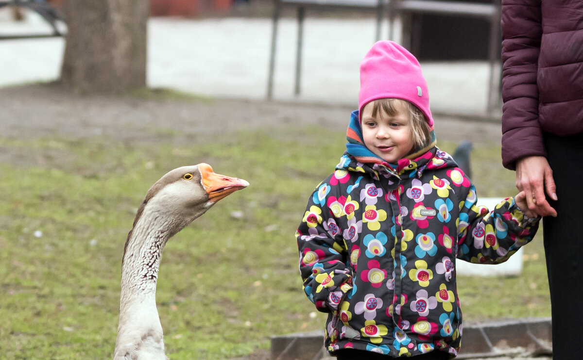 Первое знакомство. - Владимир Безбородов