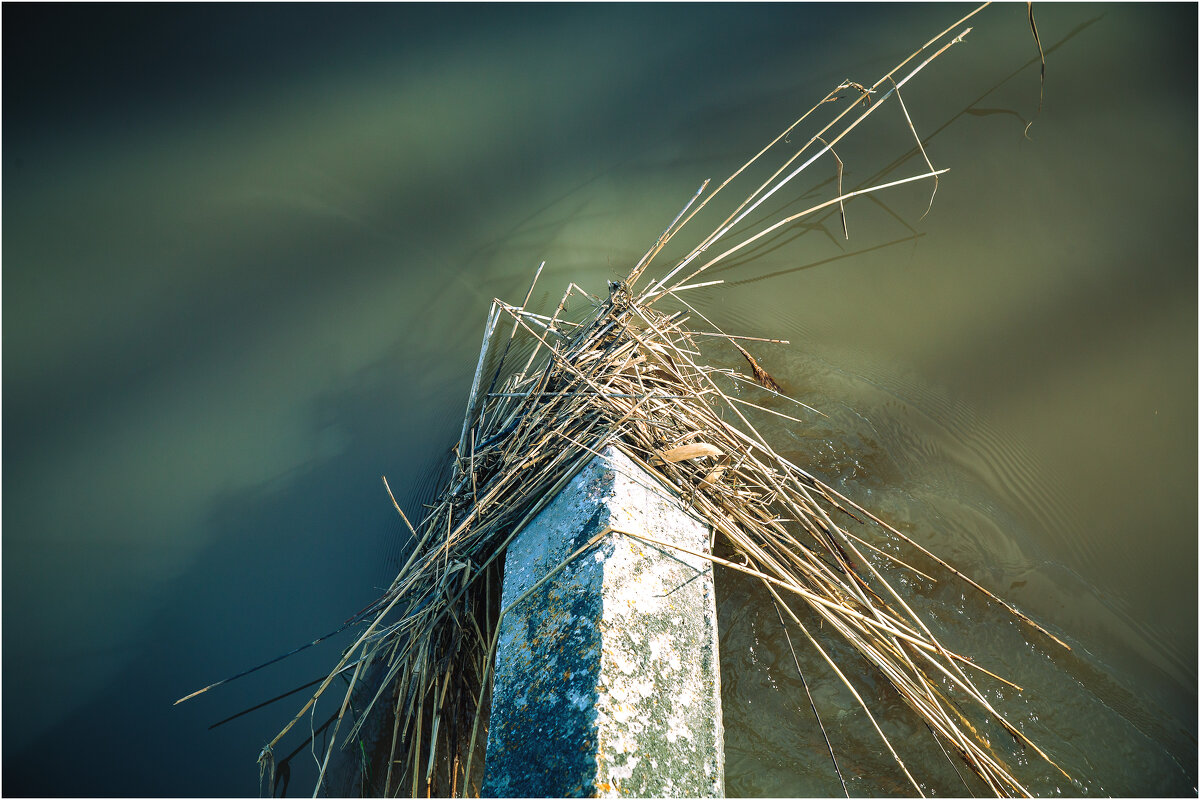 Суздаль. Каменка. Старая трава. - Вячеслав Владимирович