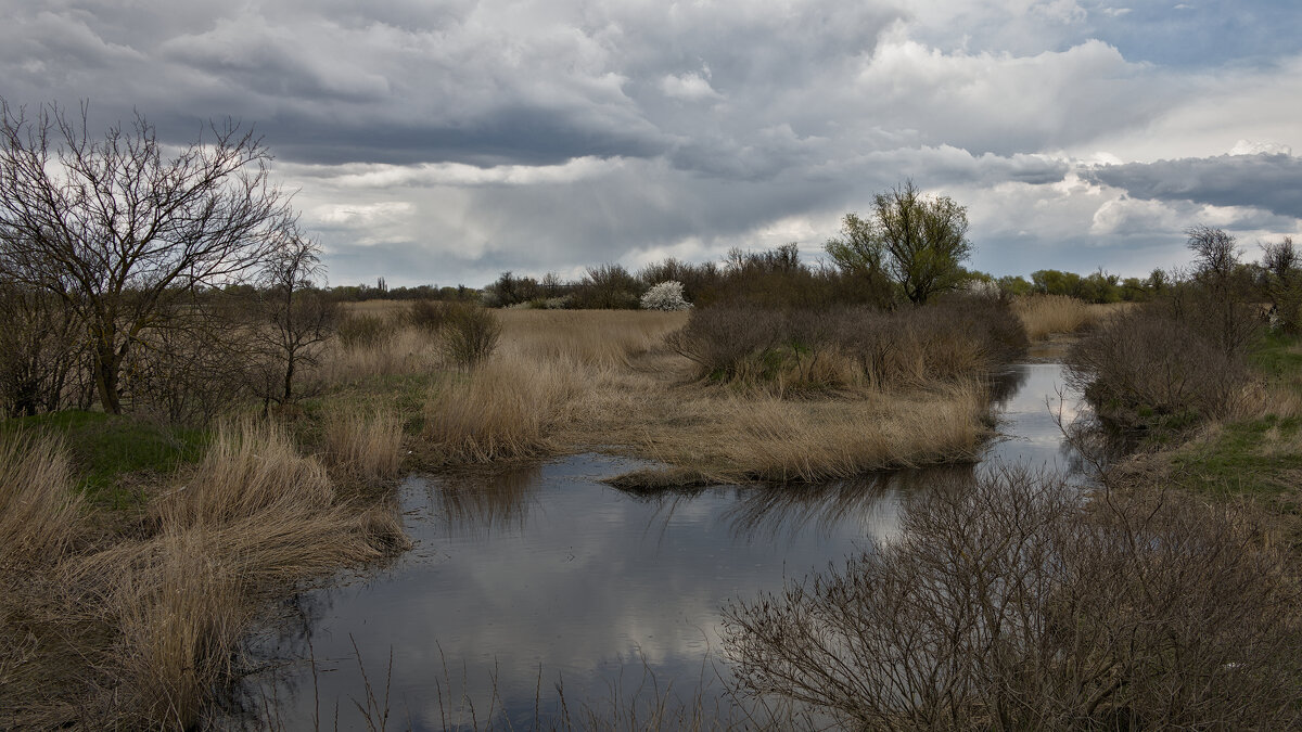 *** - Александр Бекетов