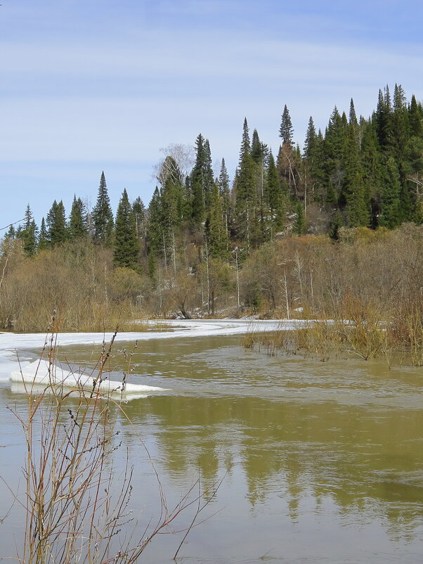 Весеннее половодье - Нина северянка