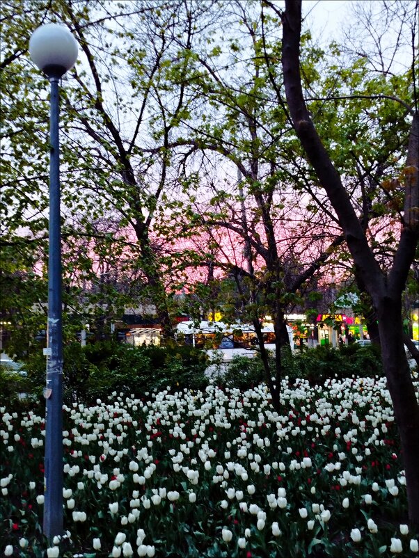 Вечереет! - Надежда 