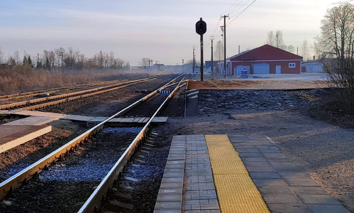 Туманное весеннее утро - Ирина 