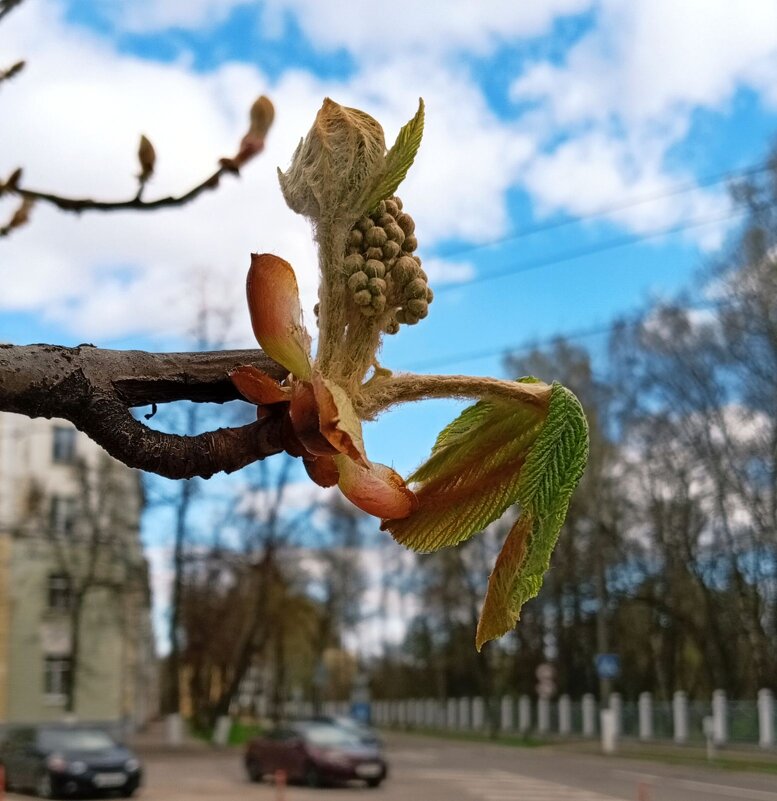 Начало - Галина Бобкина