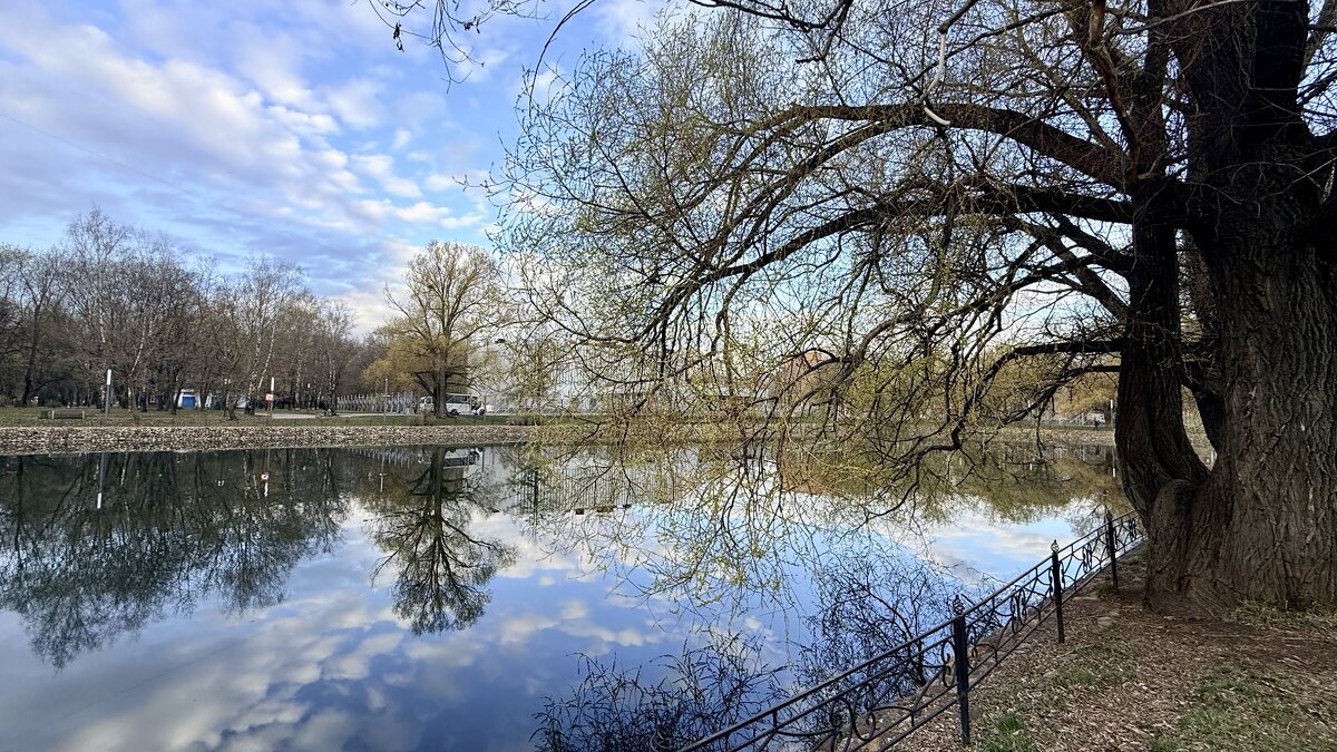 «Весна в в городе. Апрель’26» - Арина Невская
