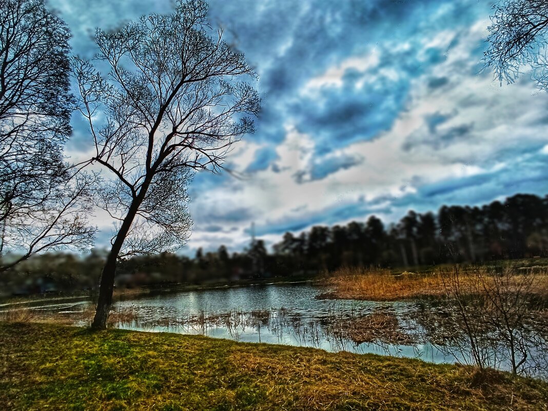 Хоть не причина для печали, но  снег нам завтра обещали... - veilins veilins