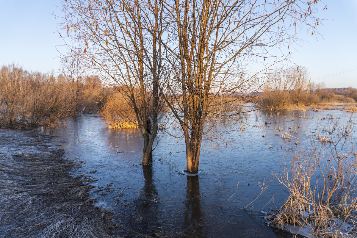 Половодье, утренний заморозок. - Сергей Ц