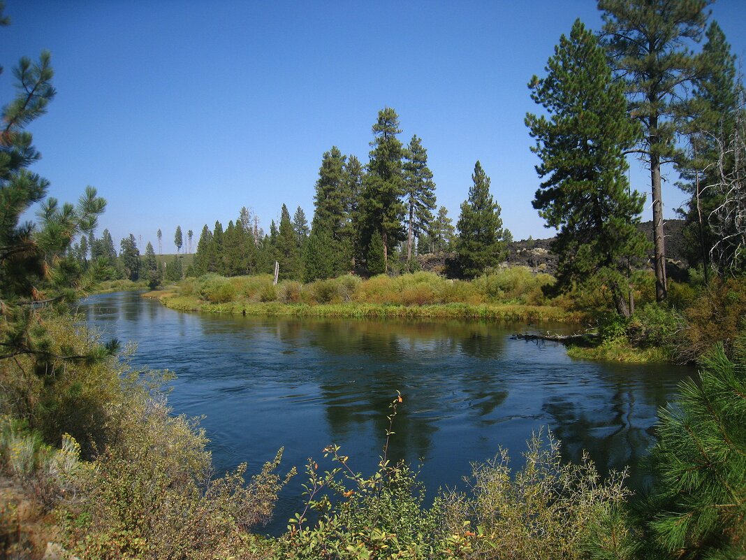 Река Дешут в американском штате Орегон. - unix (Илья Утропов)