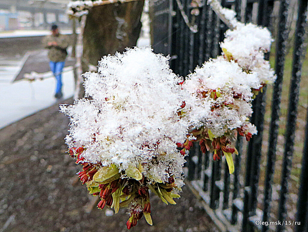 природа шутит - Олег Лукьянов