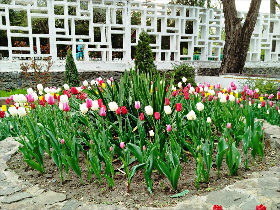 Клумба! - Надежда 