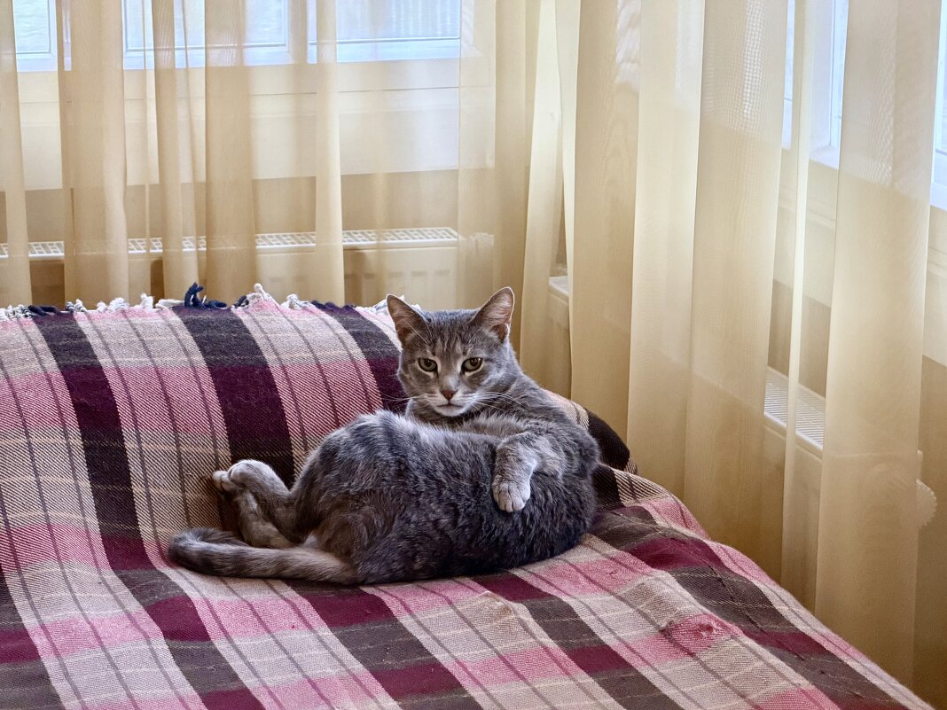 Живой музейный экспонат) - Любовь 