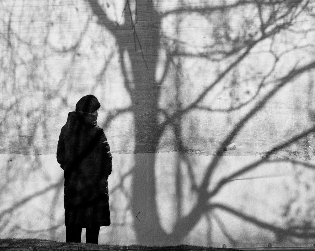 у стены... - Фёдор Куракин