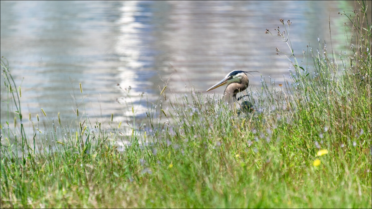 У озера - **** vedin