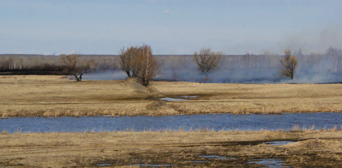 Апрельский пал. - сергей ермошкин