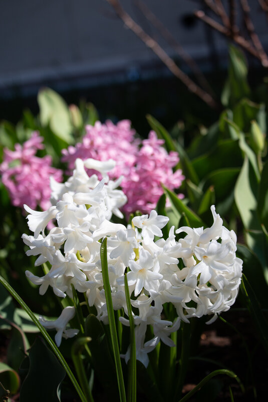 *** - Геннадий Порохов