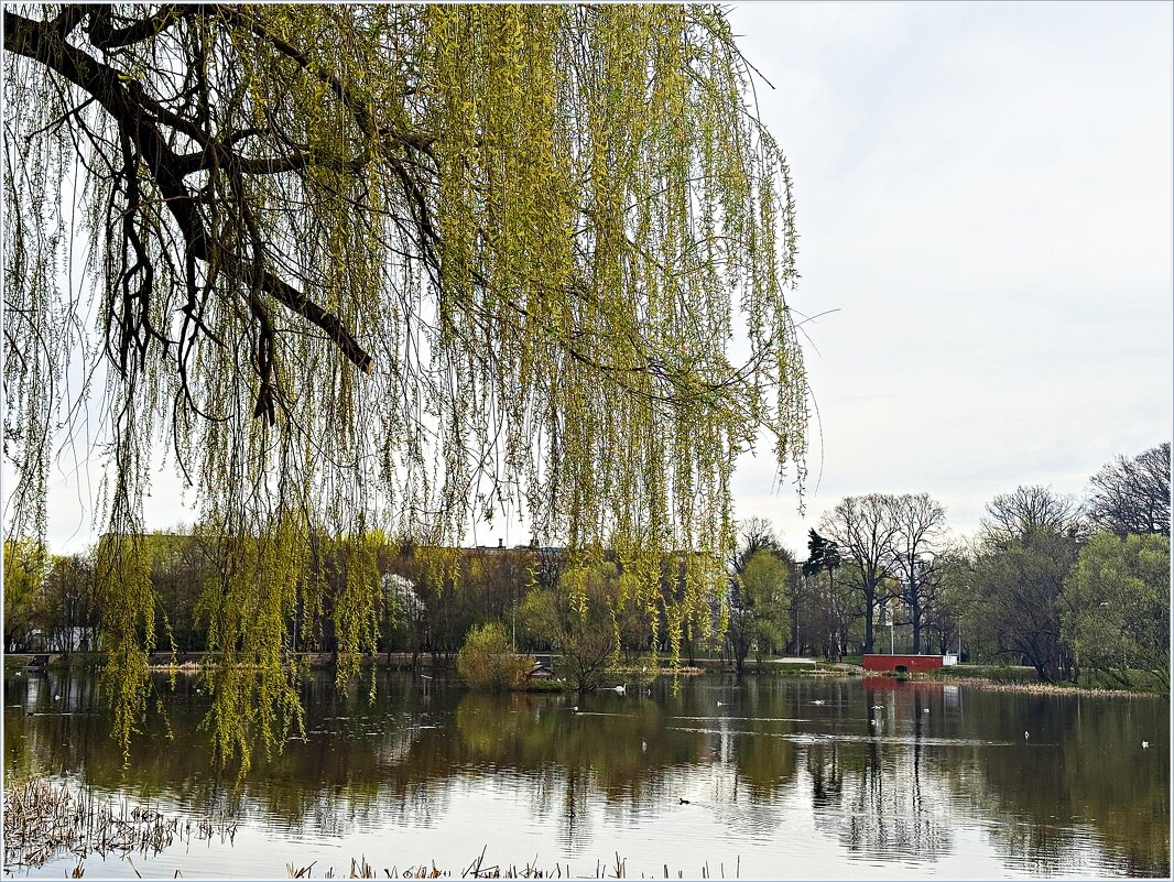 Весна. - Валерия Комова