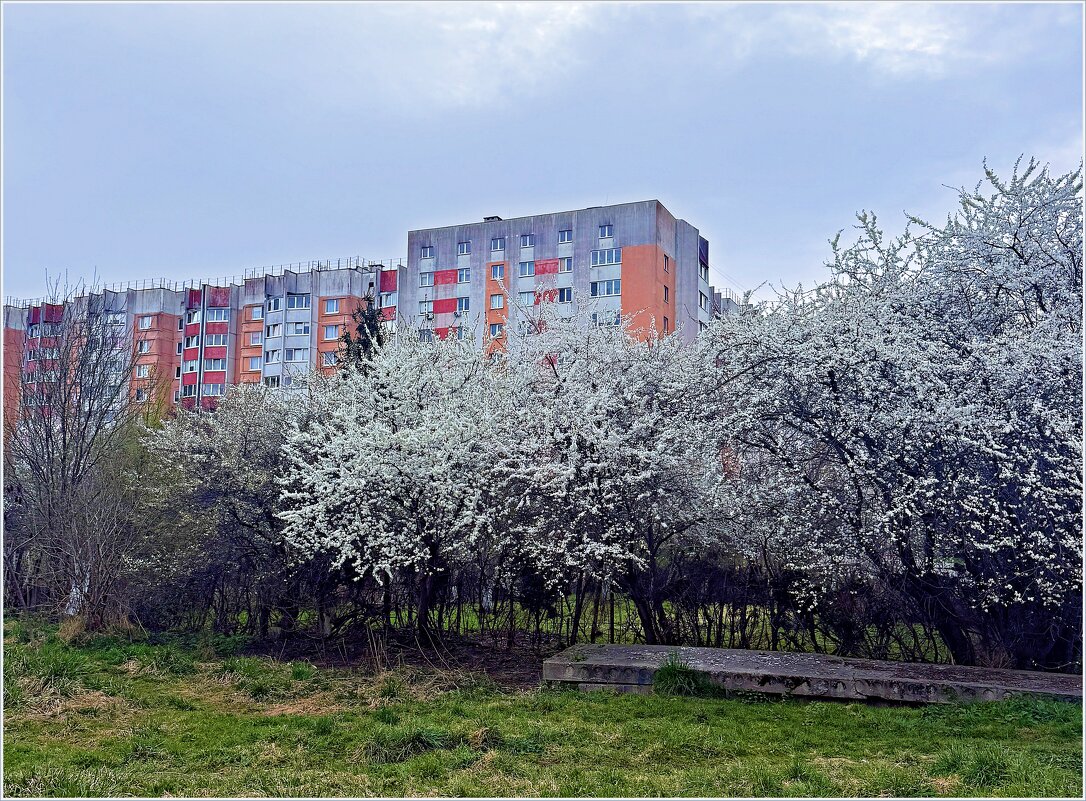 Весна в городе. - Валерия Комова