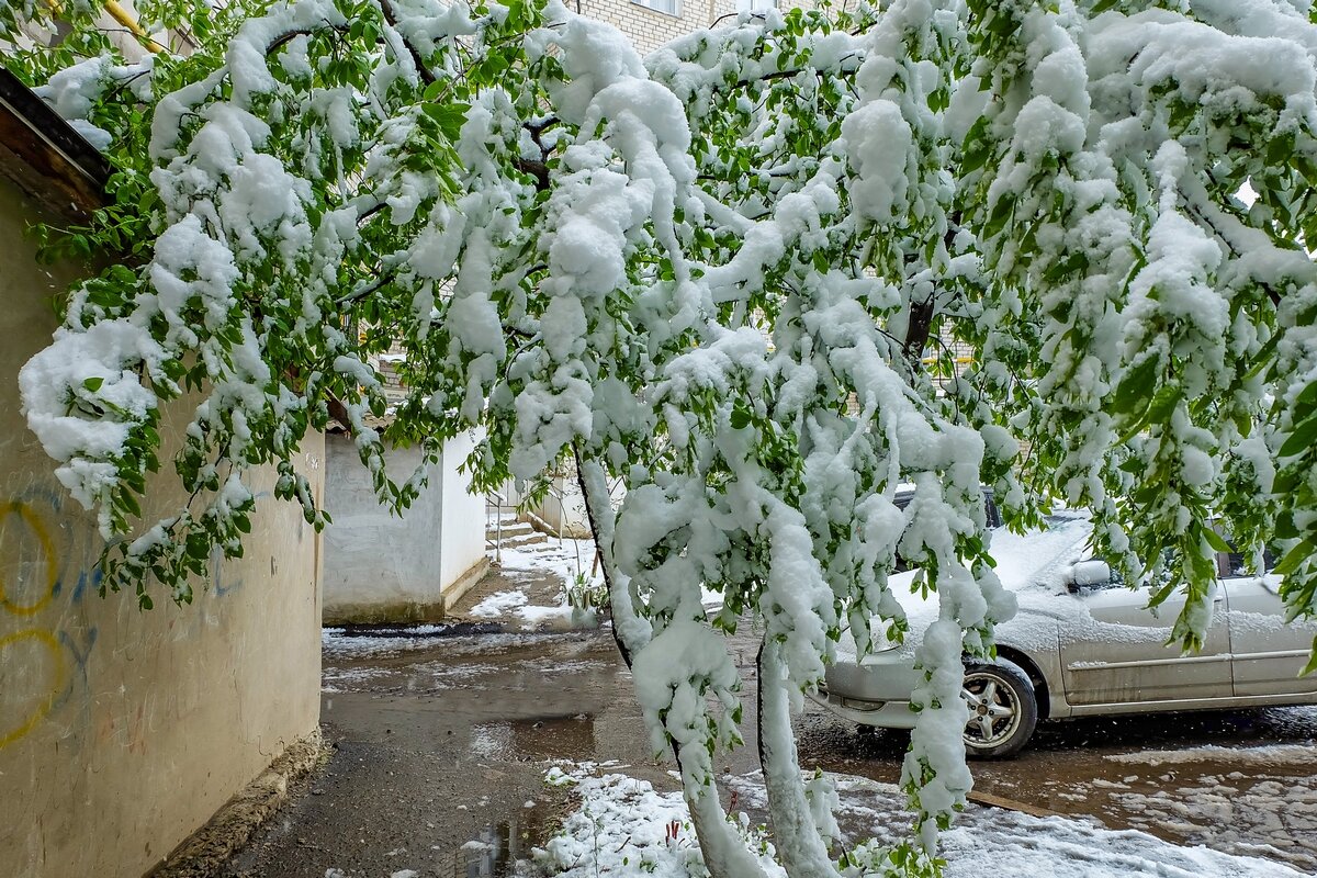 19 Апреля 2017 года город Белгород ... - Ravile 