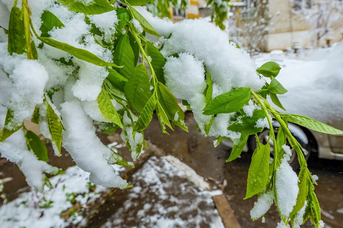 19 Апреля 2017 года город Белгород ... - Ravile 