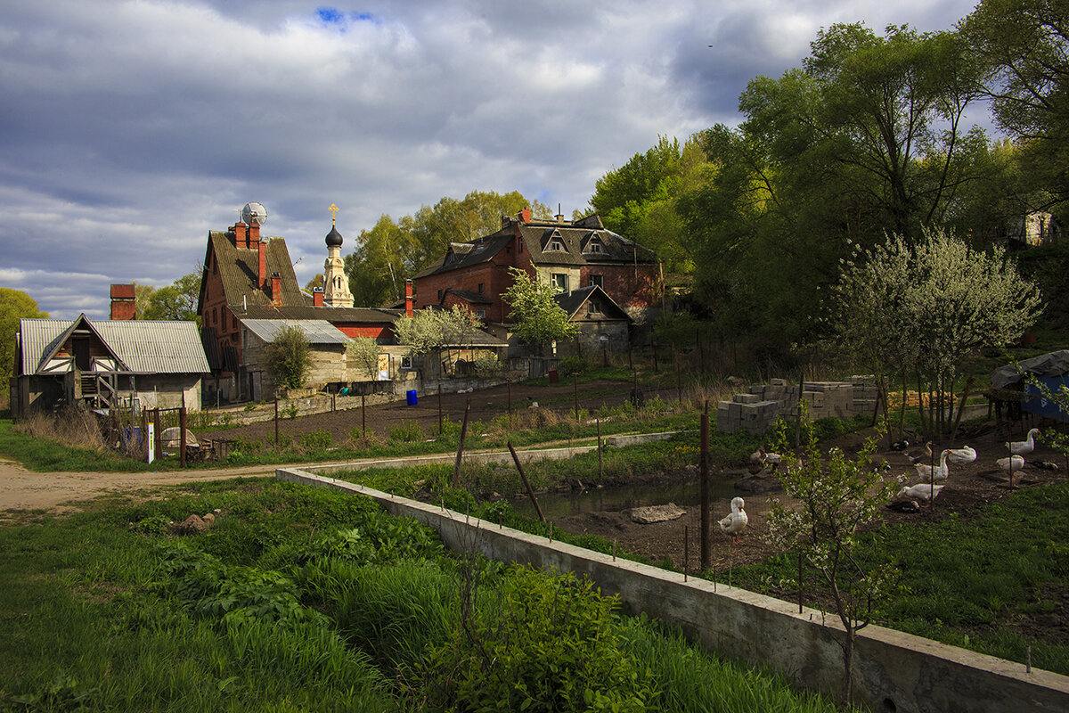 Сельская жизнь - Владимир Гришин