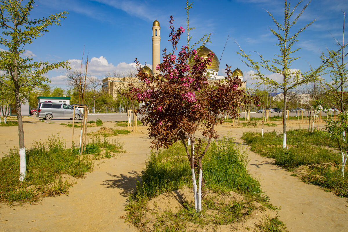 Весна - Анатолий Чикчирный
