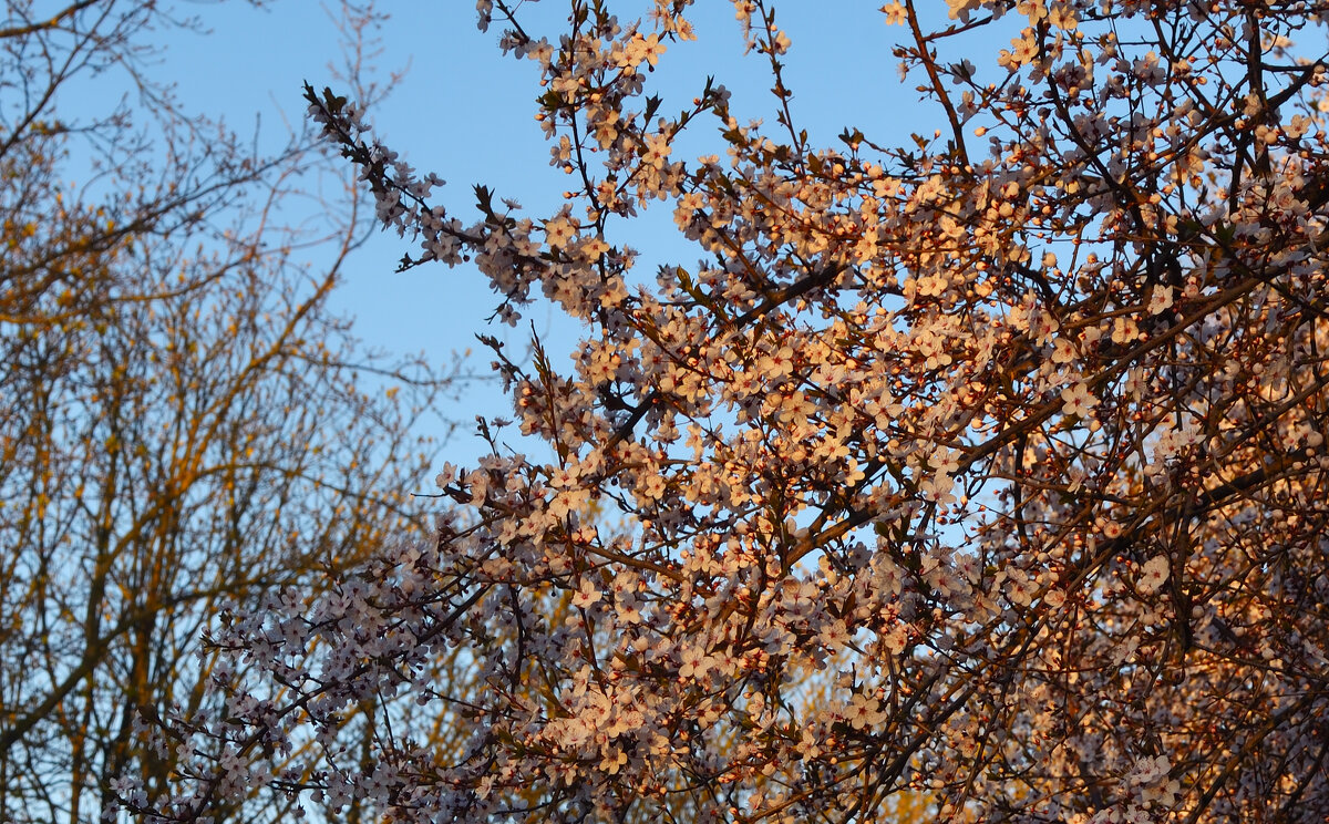 Весна... - Константин Белоногов