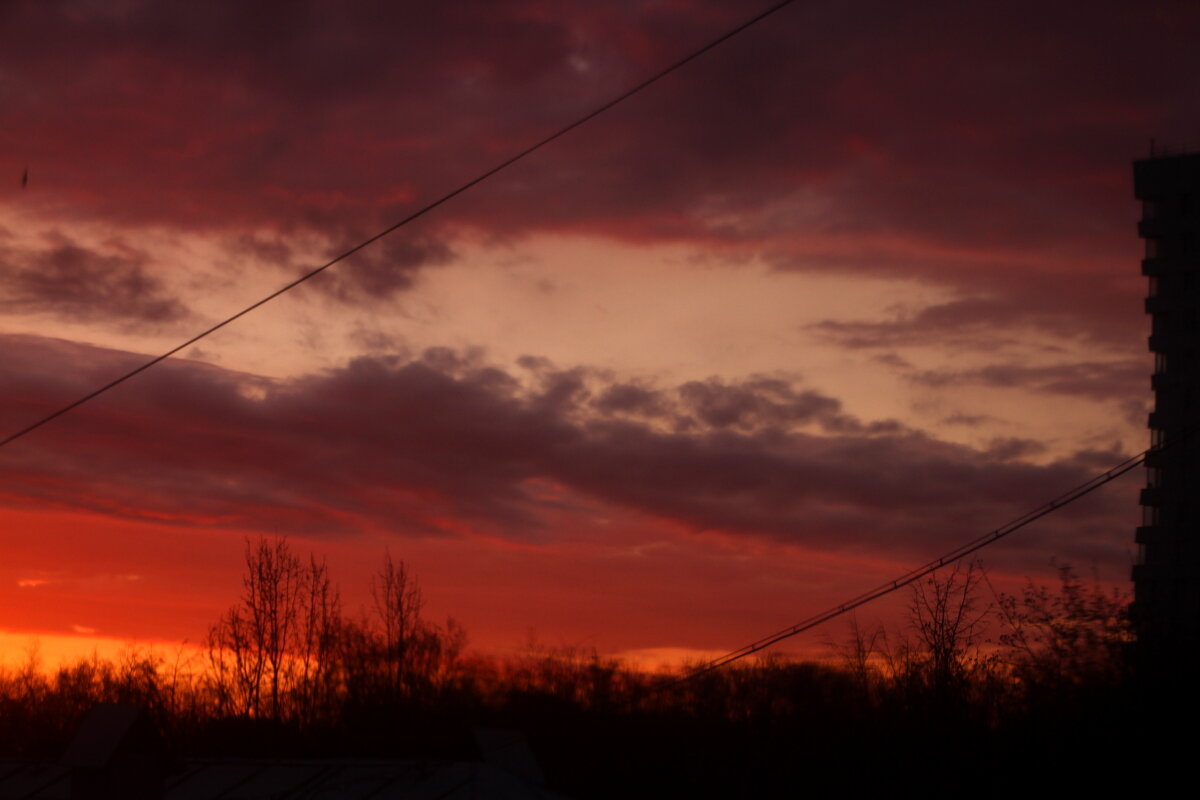Палитра восхода - олег свирский 
