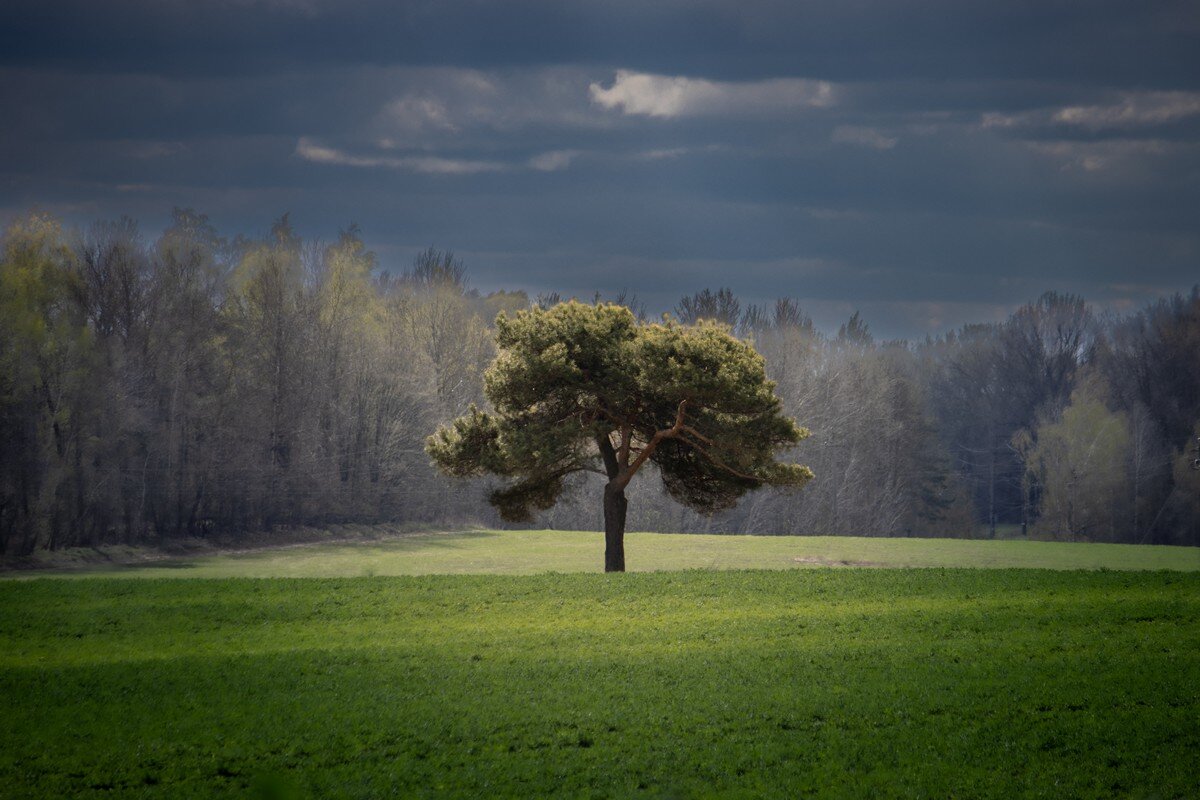 * - Евгений Ваулин