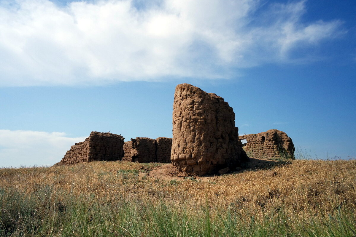 где то в степи - Aндрей Антонов