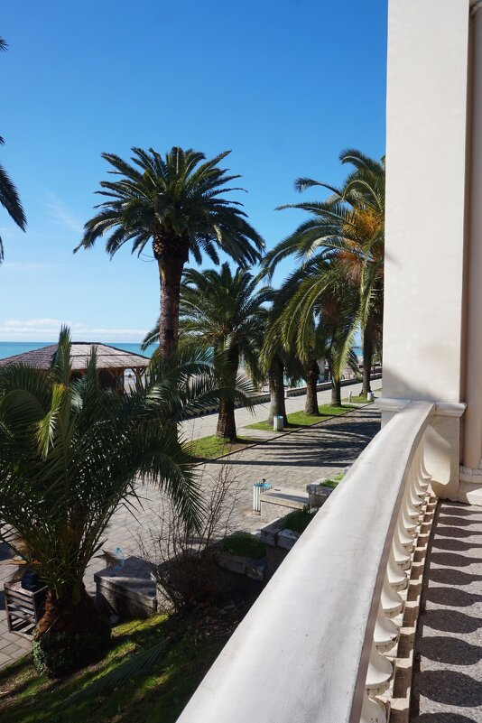 Гагра зимой - Nataly St. 