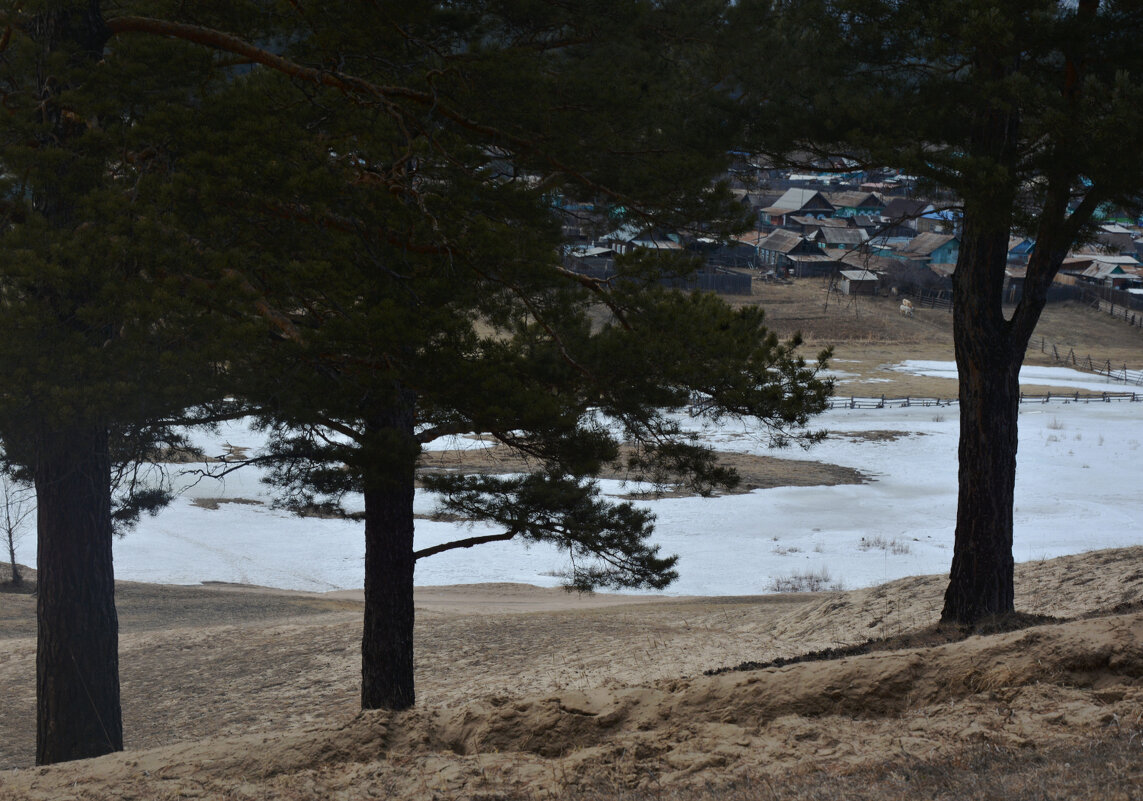 *** - Наталья Покацкая