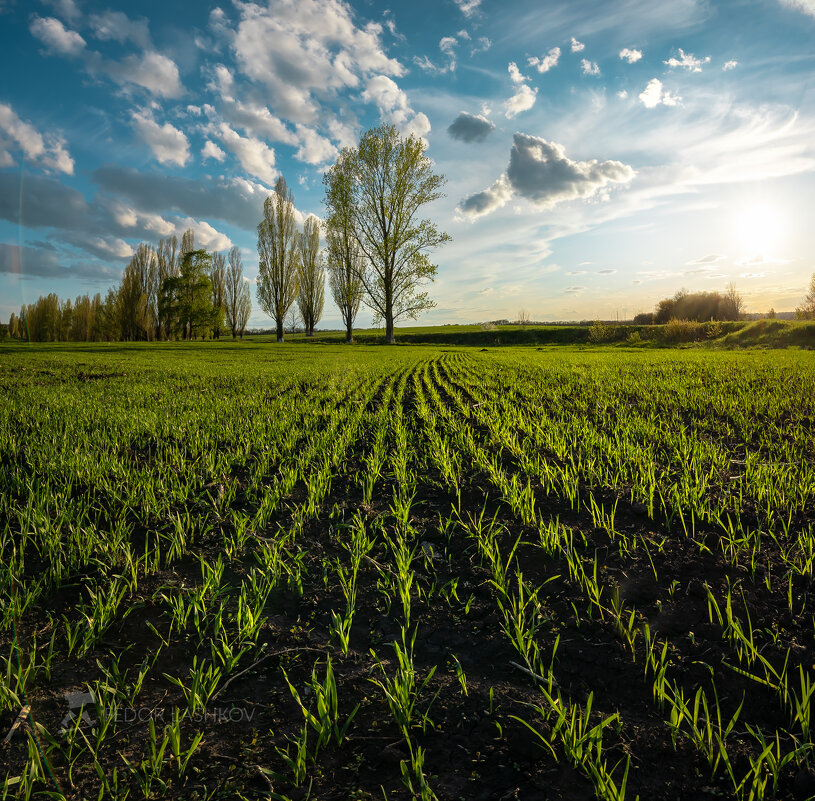 Весна - Фёдор. Лашков