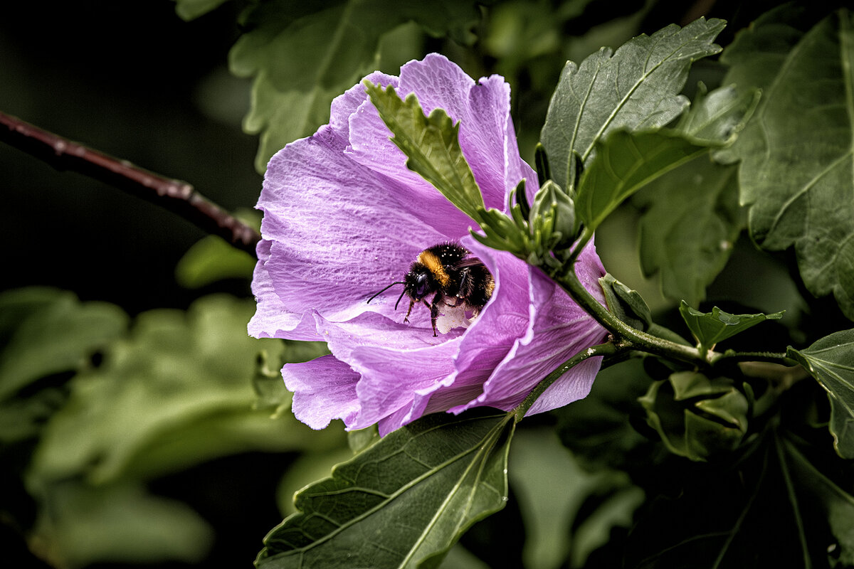 Работа любимая! Налоги не плачу! ;-) - Алексей Пышненко
