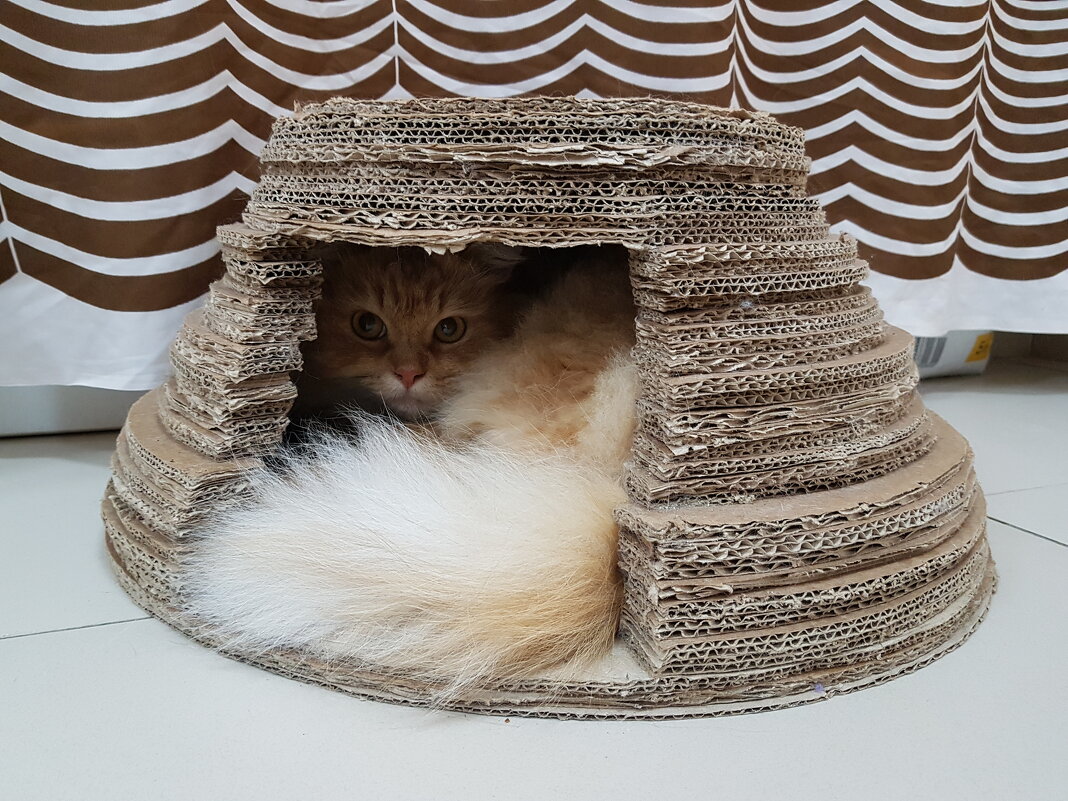 на отдыхе - Владимир 