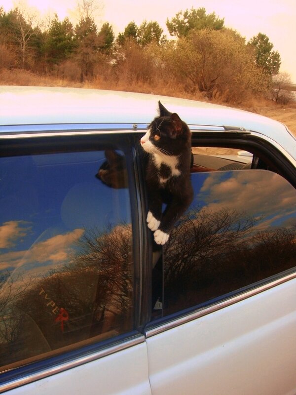 охранник - Владимир 