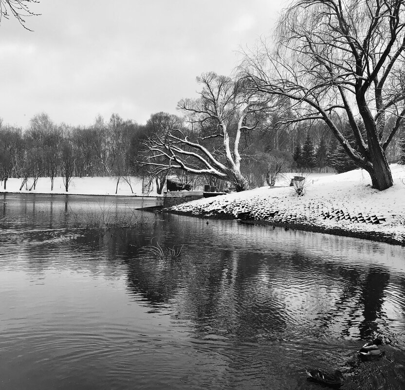 На Вятку вернулась зима) - Татьяна 