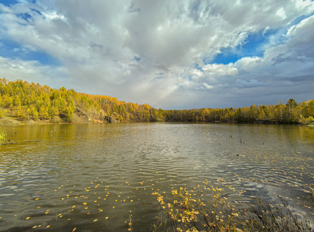 ОСЕННЯЯ ЗАРИСОВКА ... - Владимир Железнов