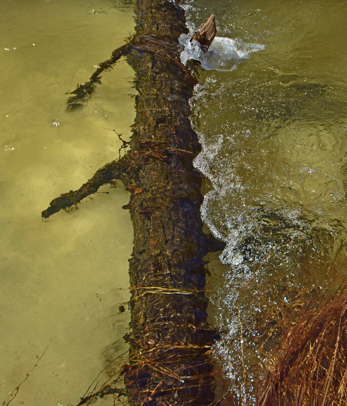 Подводный ствол - Сергей Шаврин