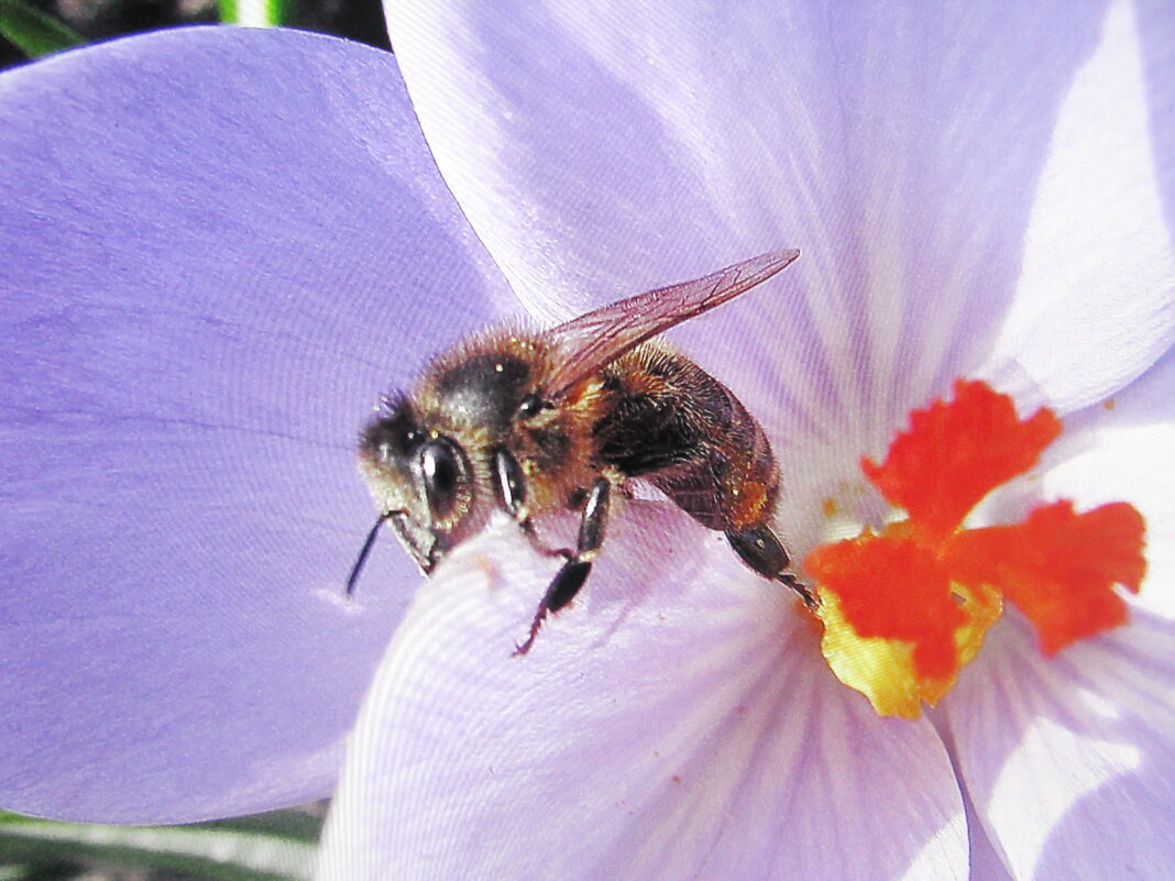 Наелась - Людмила Смородинская