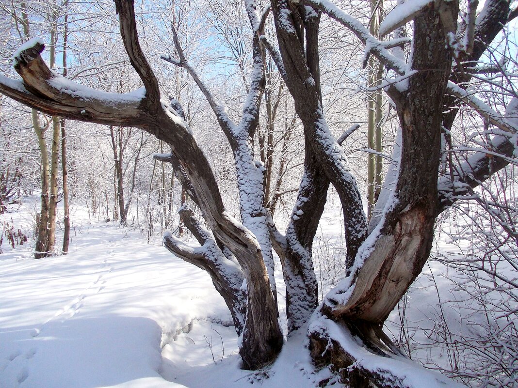 - - Владимир Мигонькин