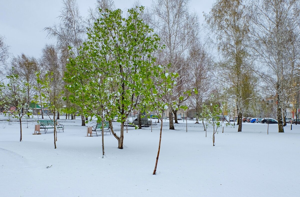 19 Апреля 2017 года город Белгород ... - Ravile 