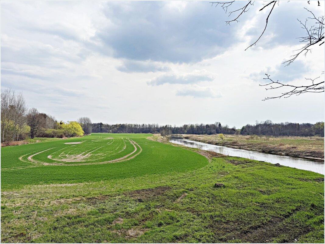 Весна, апрель. - Валерия Комова