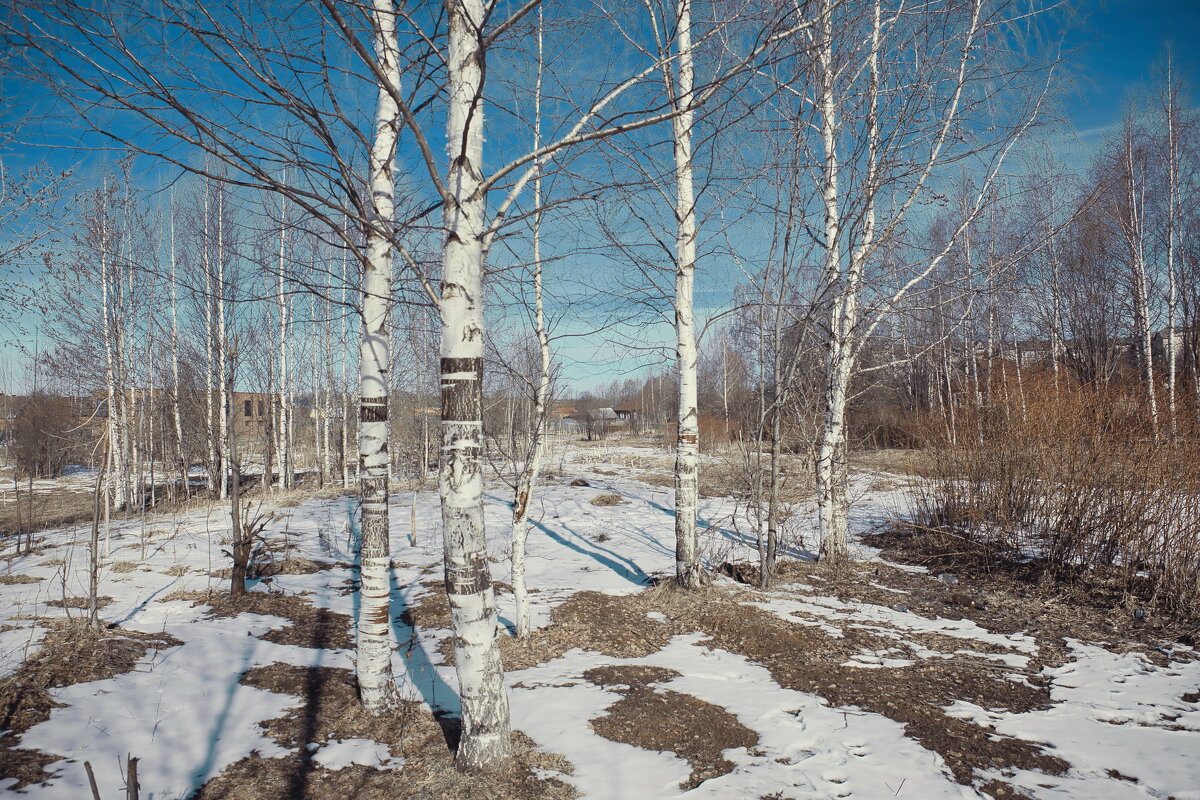 Фотография - Денис Безногов