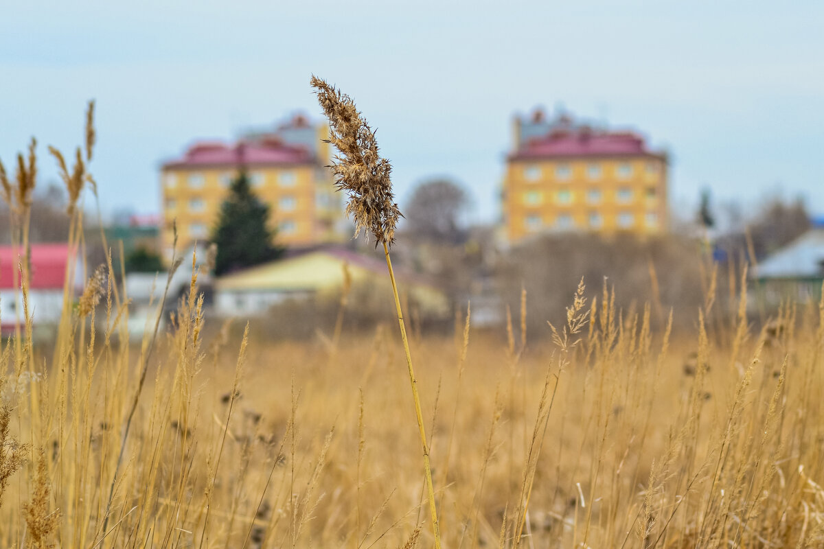 Я гуляю по апрелю.. - Михаил К