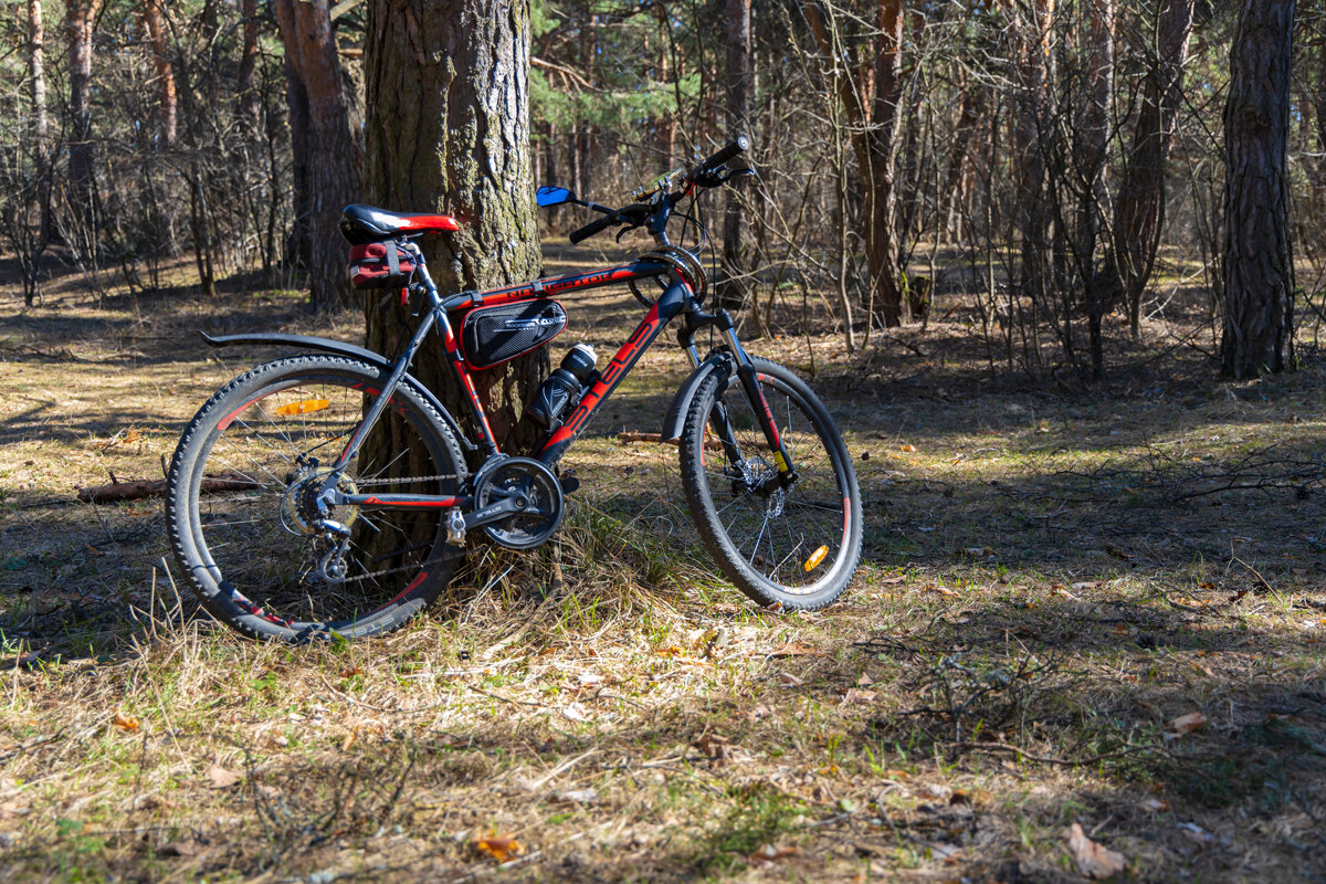 На велосипеде на природу - Александр Синдерёв