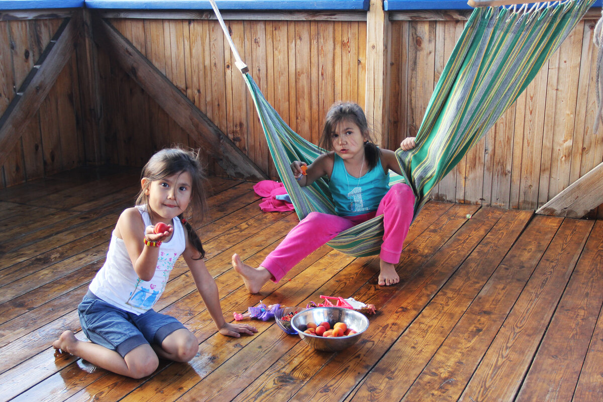 Абрикосики - СЮ 