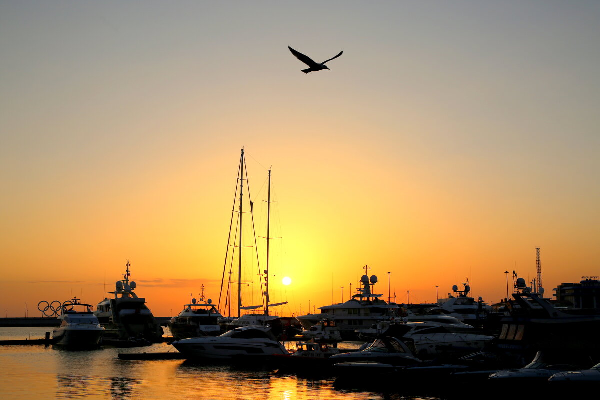 В порту - Валерий 