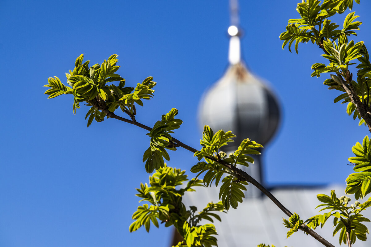 *** - Николай 