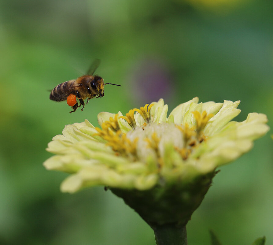 В полете - Татьяна Салиева