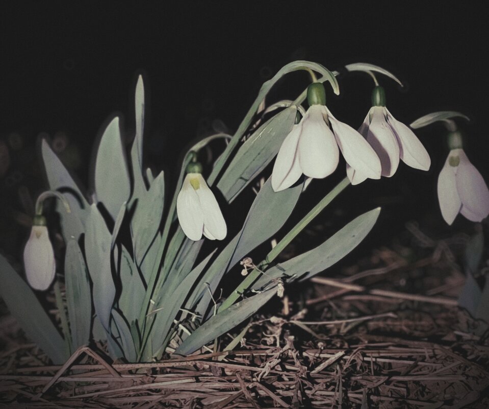 Темнота скрывает хрупкость - Evgenia Glazkova