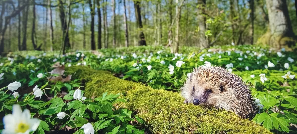 Что за х-ня ? Ничего  не загружается ! - Валерий Кокорев